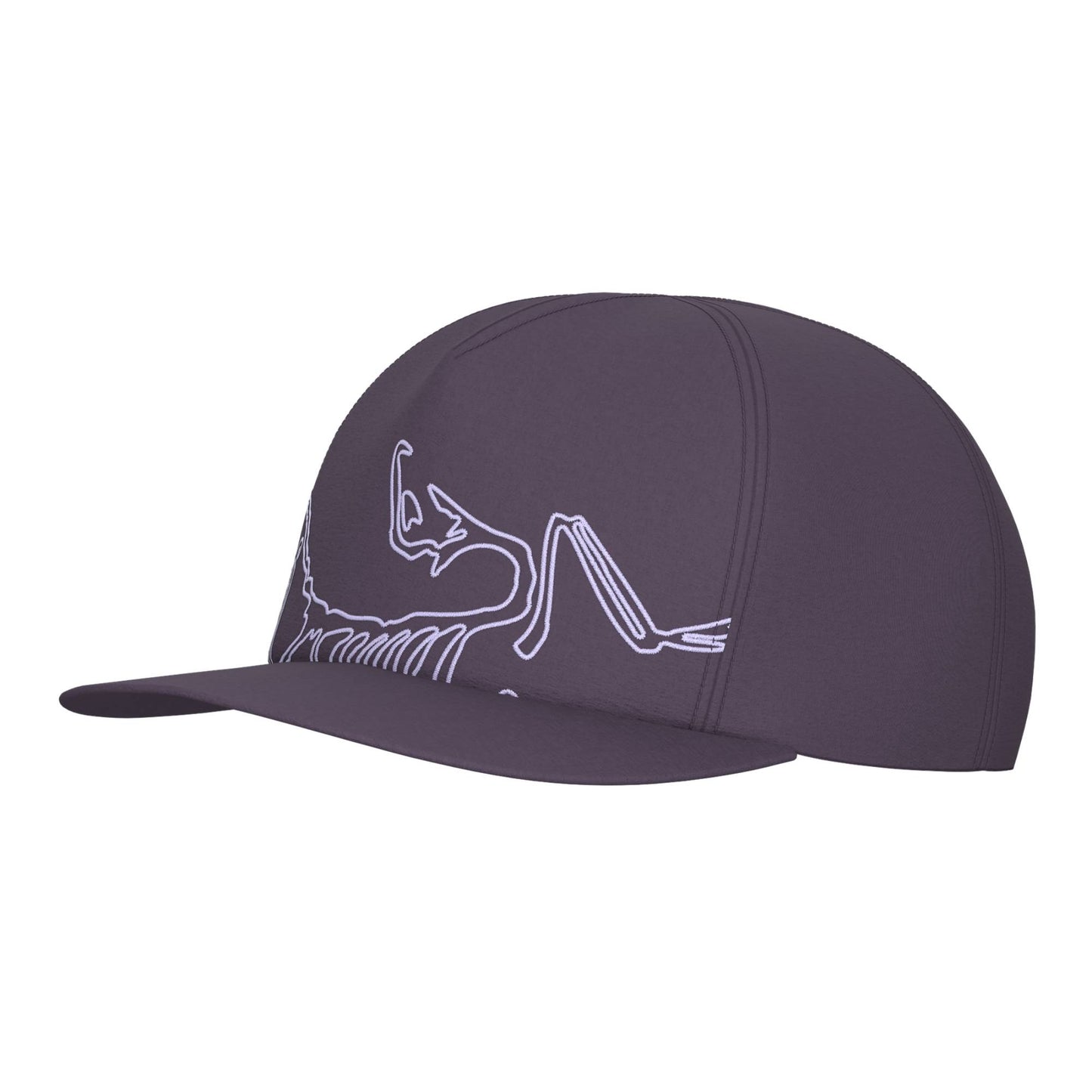 Arc'teryx Silex Adult Cap
