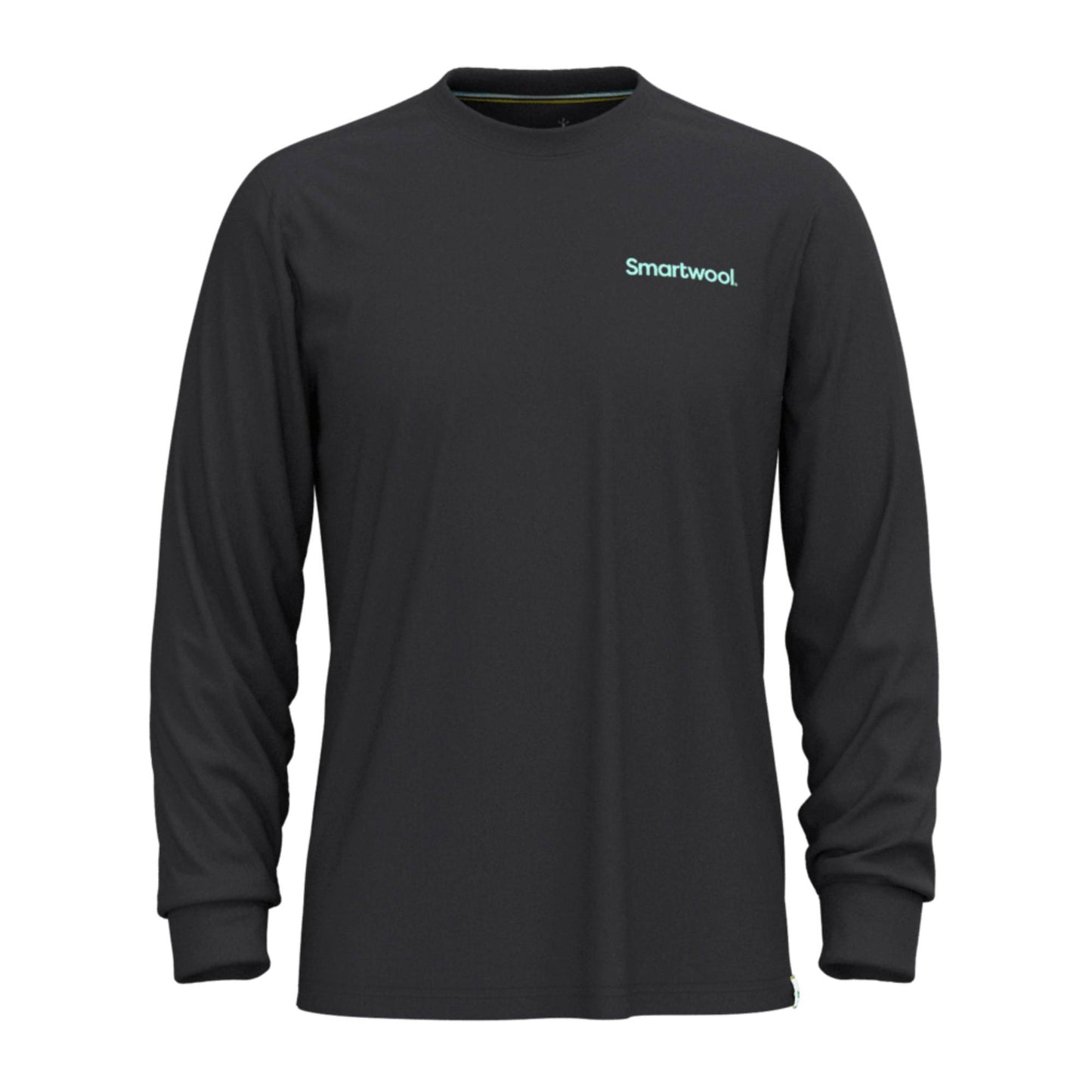Smartwool Gondola View Mens LS Graphic Tee