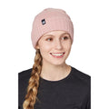 Flylow Forecaster Adult Beanie Quartz One Size