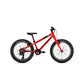 Rocky Mountain Edge 20 Junior Bike