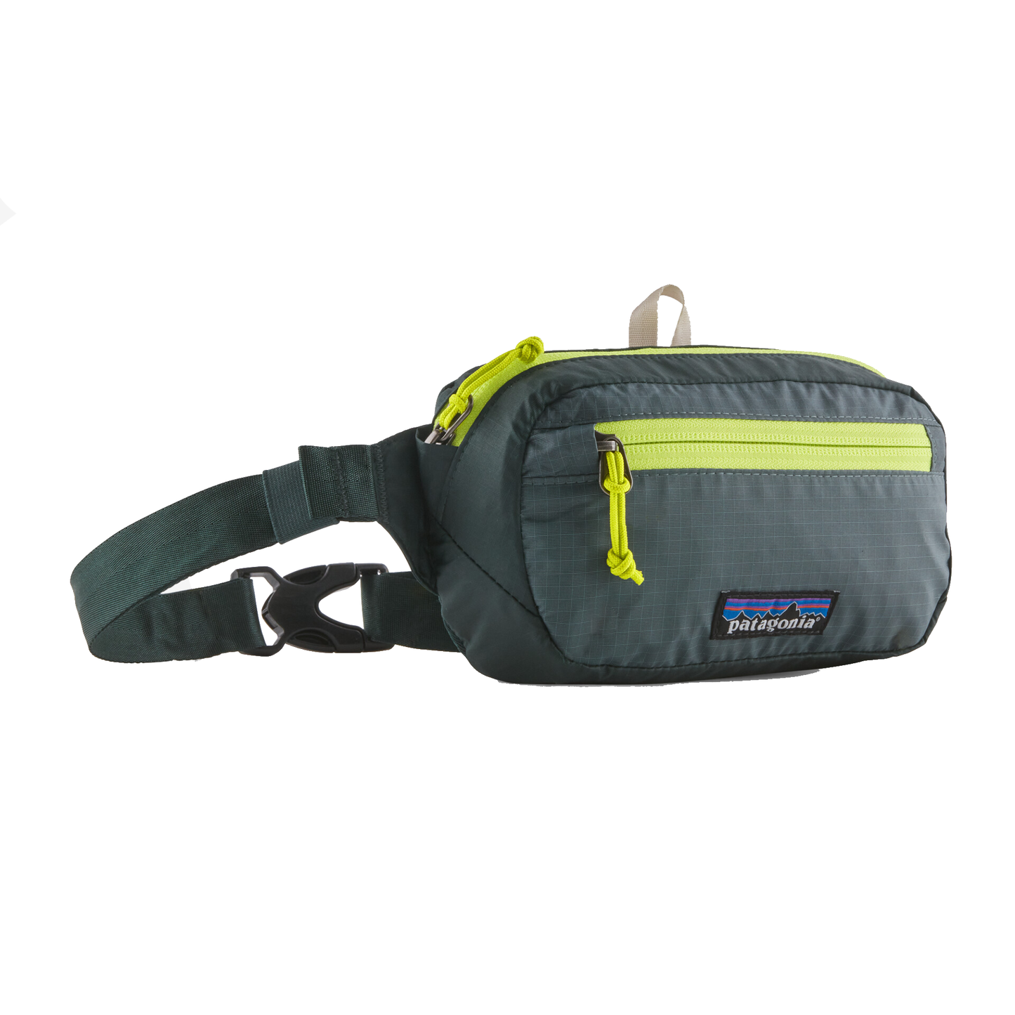 Patagonia Ultralight Black Hole Mini Hip Pack 1L