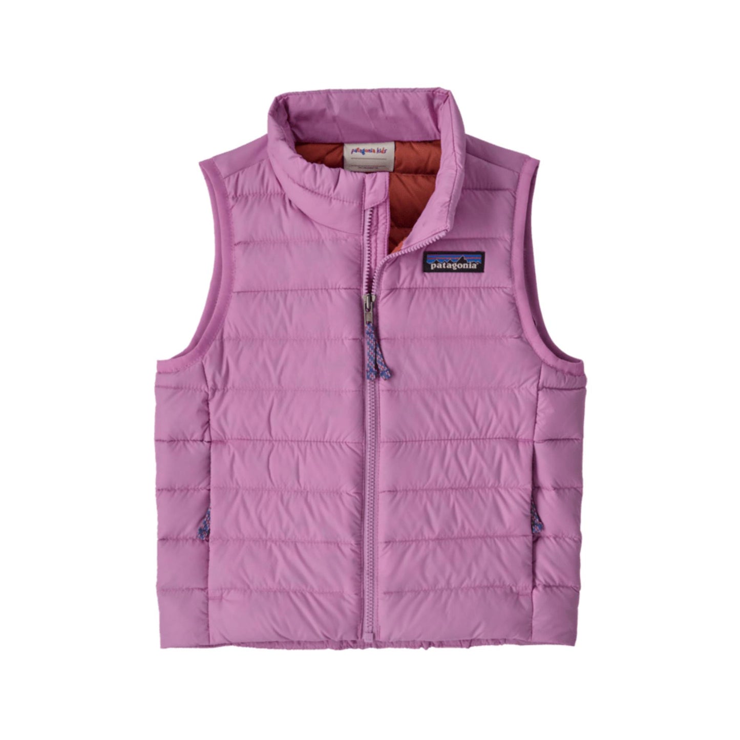 Patagonia Preschool Down Sweater Vest 2026