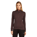 Icebreaker 260 Quantum Womens LS Zip