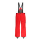 Spyder Dare Mens Pants (Regular) 2026