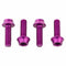 Wolf Tooth Bottle Cage Bolts
