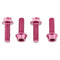 Wolf Tooth Bottle Cage Bolts