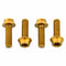 Wolf Tooth Bottle Cage Bolts