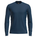 Icebreaker 200 Oasis Mens LS Crewe