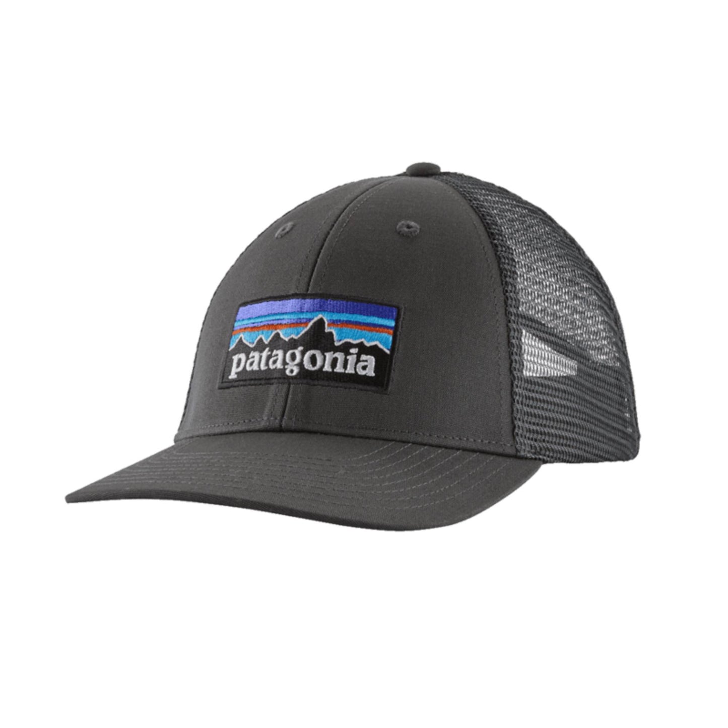 Patagonia P-6 Logo LoPro Trucker Hat 2026