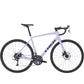 Trek Domane AL 2 Gen 4 Bike