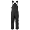 Flylow Baker Mens Insulated Bib Pant 2025