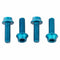 Wolf Tooth Bottle Cage Bolts
