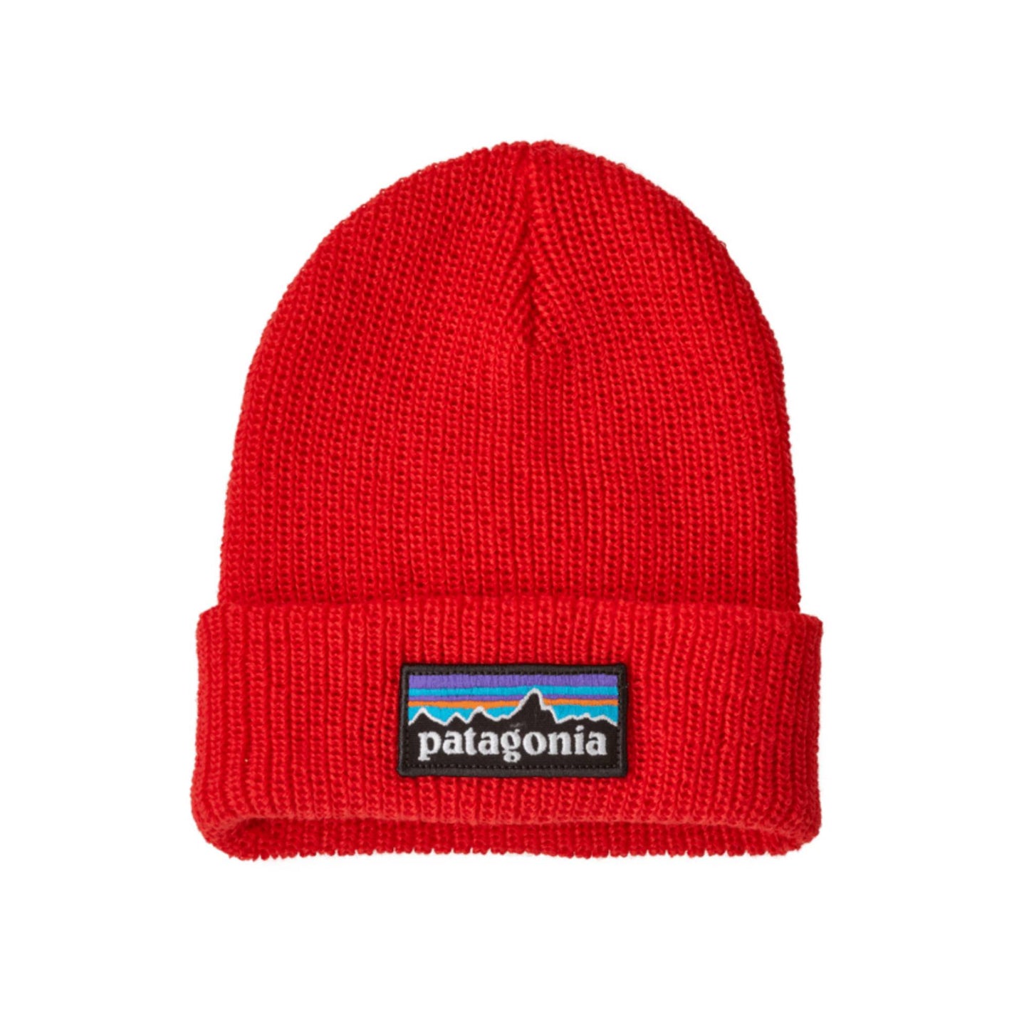 Patagonia Logo Baby Beanie