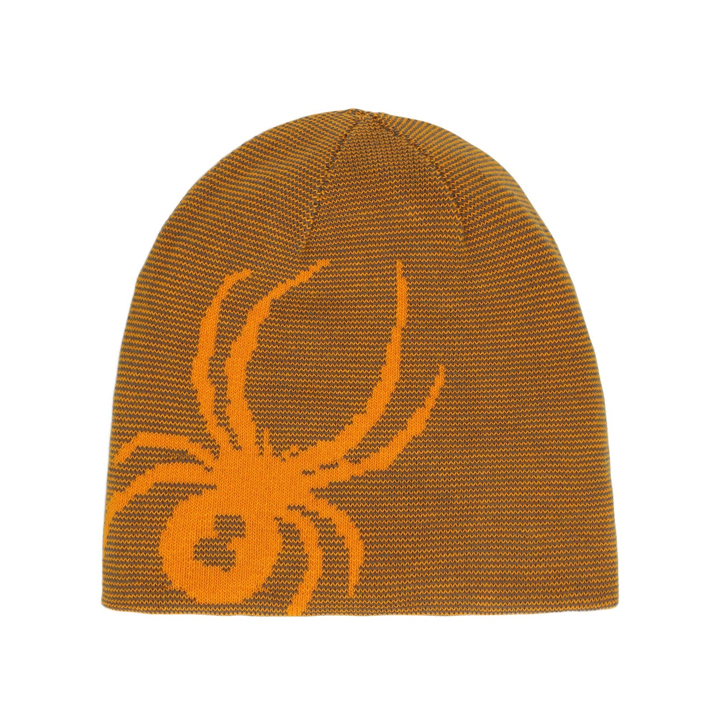 Spyder Reversible Bug Youth Beanie