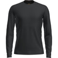 Icebreaker 200 Oasis Mens LS Crewe