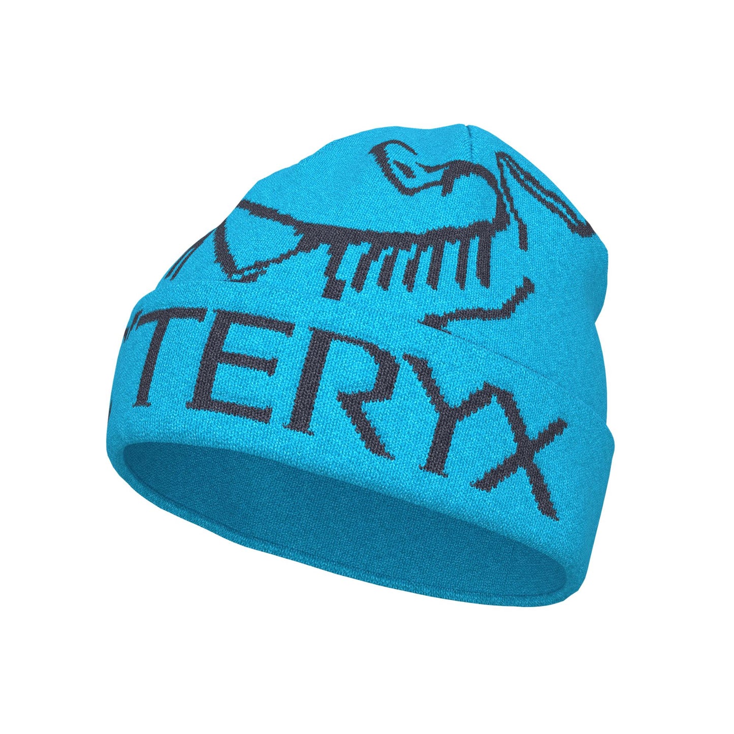 Arc'teryx Bird Word Adult Toque