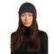 Icebreaker 260 Quantum Adult Beanie