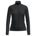 Icebreaker 300 RealFleece Descender Womens LS Zip