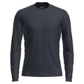 Icebreaker 200 Oasis Mens LS Crewe