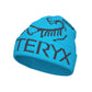Arc'teryx Bird Word Adult Toque