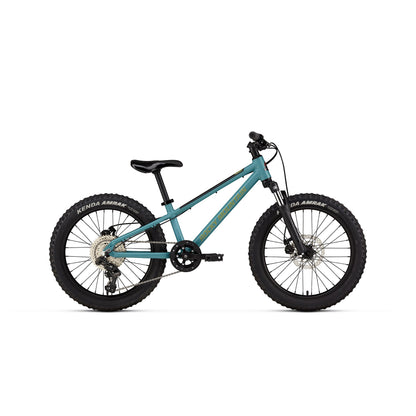 Rocky Mountain Soul Junior Bike Blue Black 20