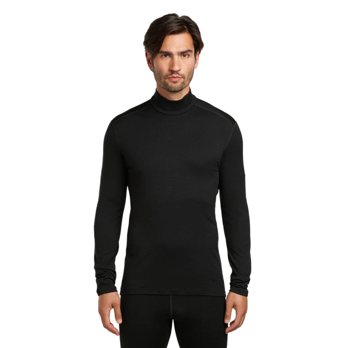 Icebreaker 260 Oasis Mens LS Turtleneck