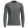 Icebreaker 200 Oasis Mens LS Crewe