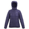 Arc'teryx Cerium Womens Hoody 2027