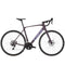 Trek Domane SL 5 Bike