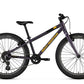 Rocky Mountain Edge 24 Junior Bike