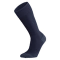 Icebreaker Ski+ Light OTC Mens Sock