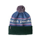 Patagonia Powder Town Adult Beanie