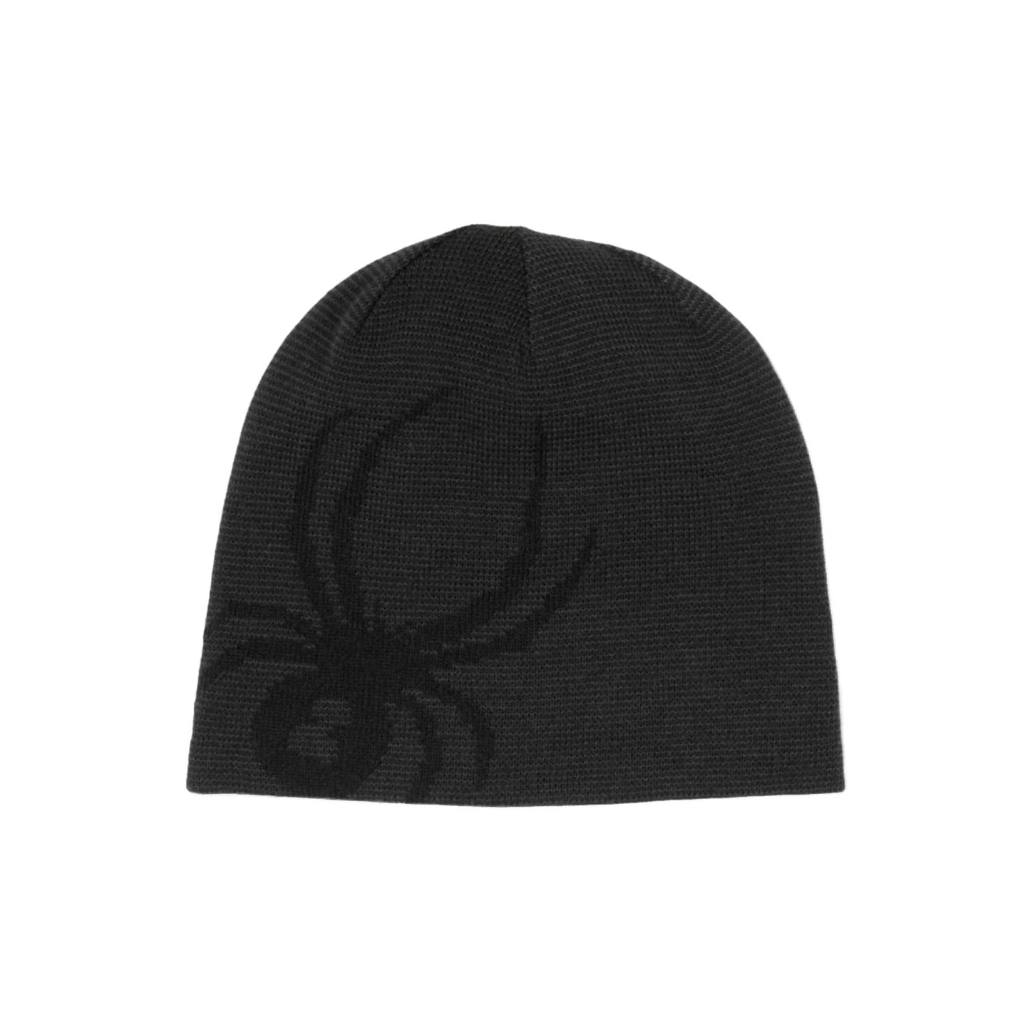 Spyder Innsbruck Mens Reversible Hat