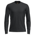 Icebreaker 200 Oasis Mens LS Crewe