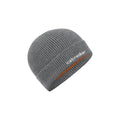 Icebreaker All Day Adult Beanie