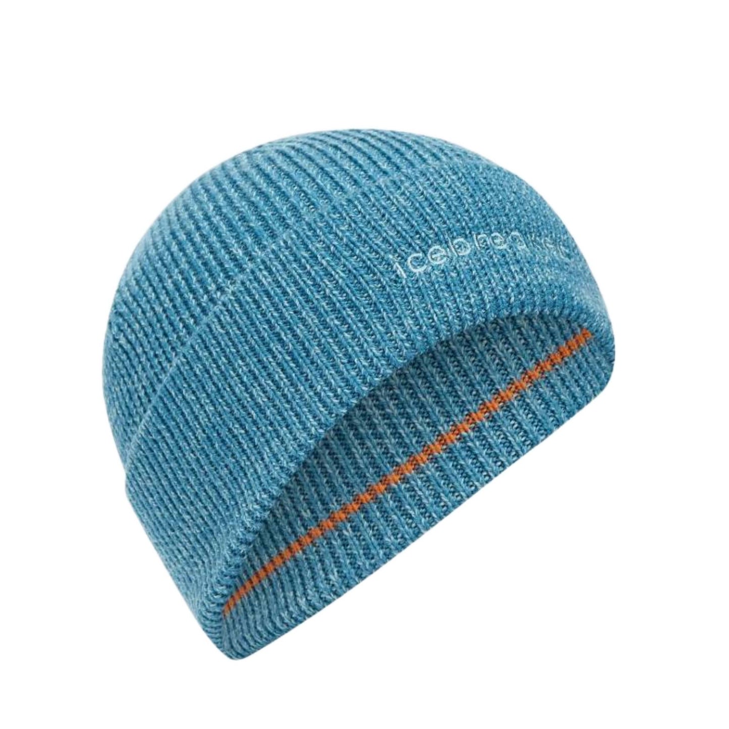 Icebreaker All Day Adult Beanie