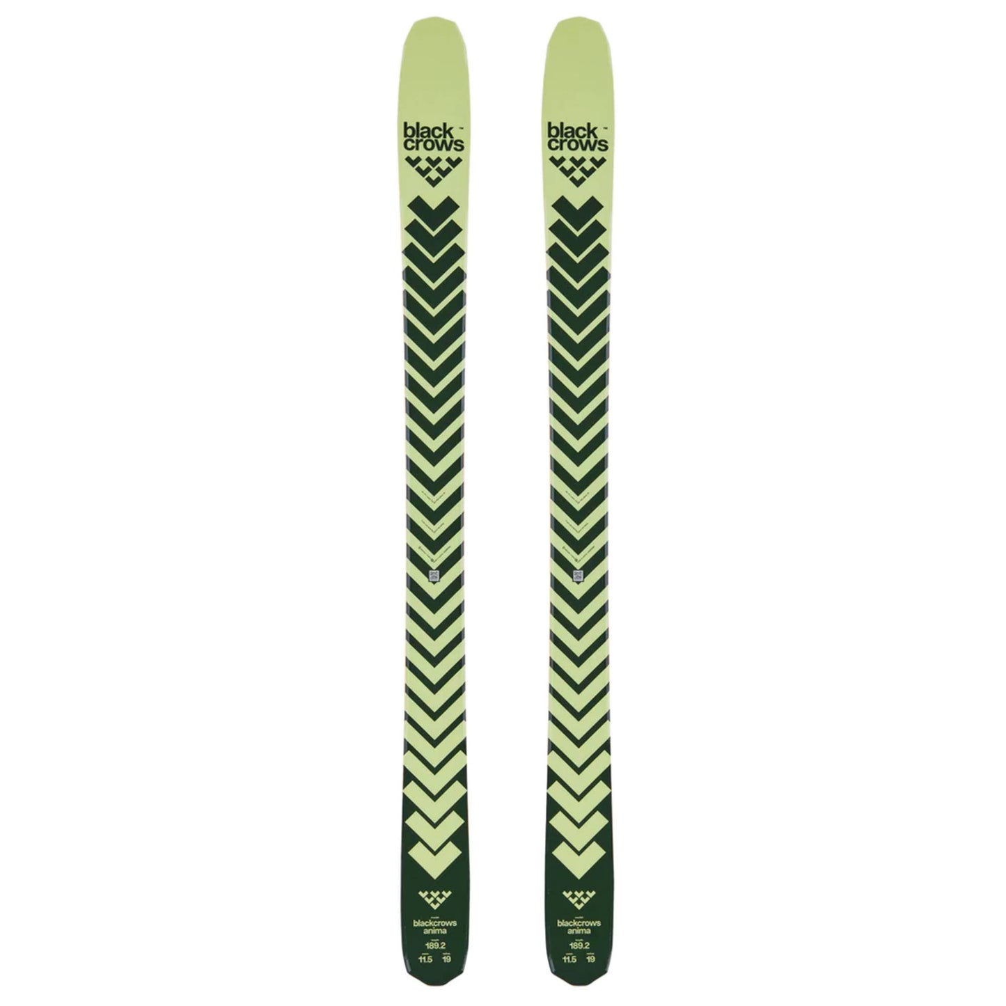 Black Crows Anima Ski 2026