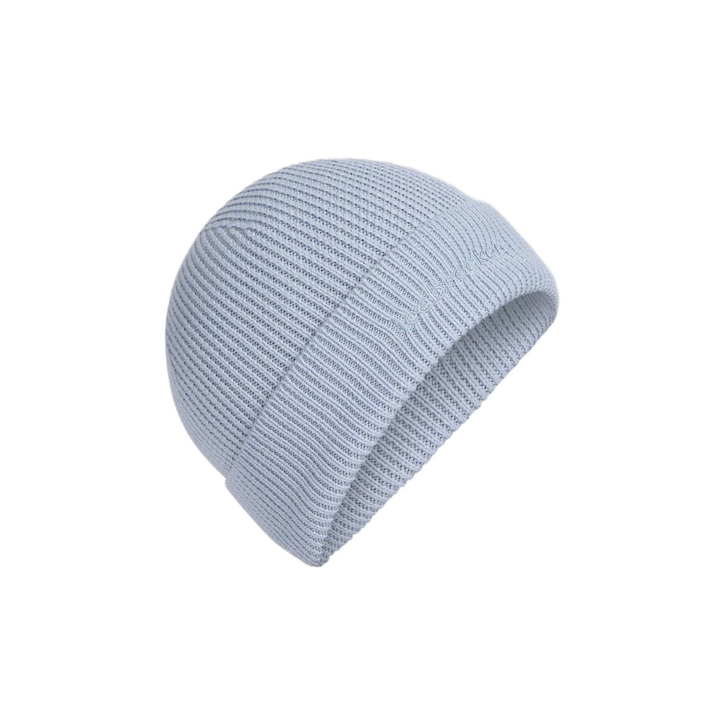 Icebreaker All Day Adult Beanie