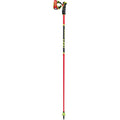 Leki Venom GS 3D Ski Poles 2026