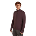 Icebreaker 260 Quantum Mens LS Zip