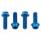 Wolf Tooth Bottle Cage Bolts