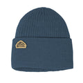 Coal The Coleville Adult Beanie