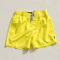 Island Haze Barbados Mens Volley Short 2021