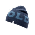 Devold Logo Merino Adult Beanie