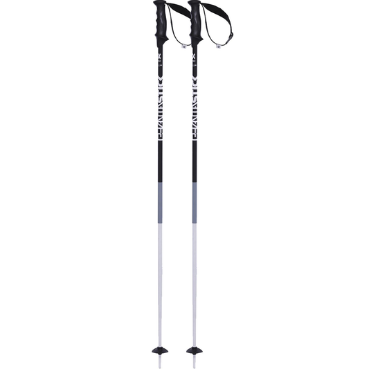 Volkl Phantastick 2 Ski Pole 2019