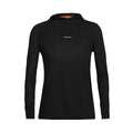 Icebreaker Cool-Lite Womens LS Hoodie