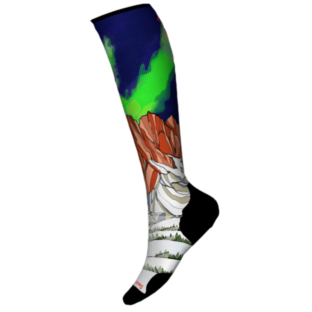 Smartwool Ski Targeted Cushion Homechetler Mens Sock