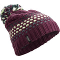 Arc'teryx Fernie Adult Toque