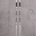 Armada Triad Ski Poles 2022