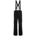 Spyder Dare Mens Tailored Pant (Short) 2019